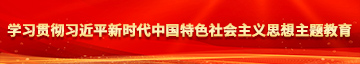 操美女视频网站学习贯彻习近平新时代中国特色社会主义思想主题教育